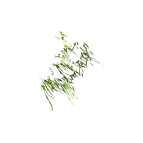 grass 03